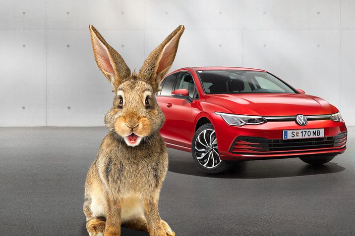 Golf Rabbit